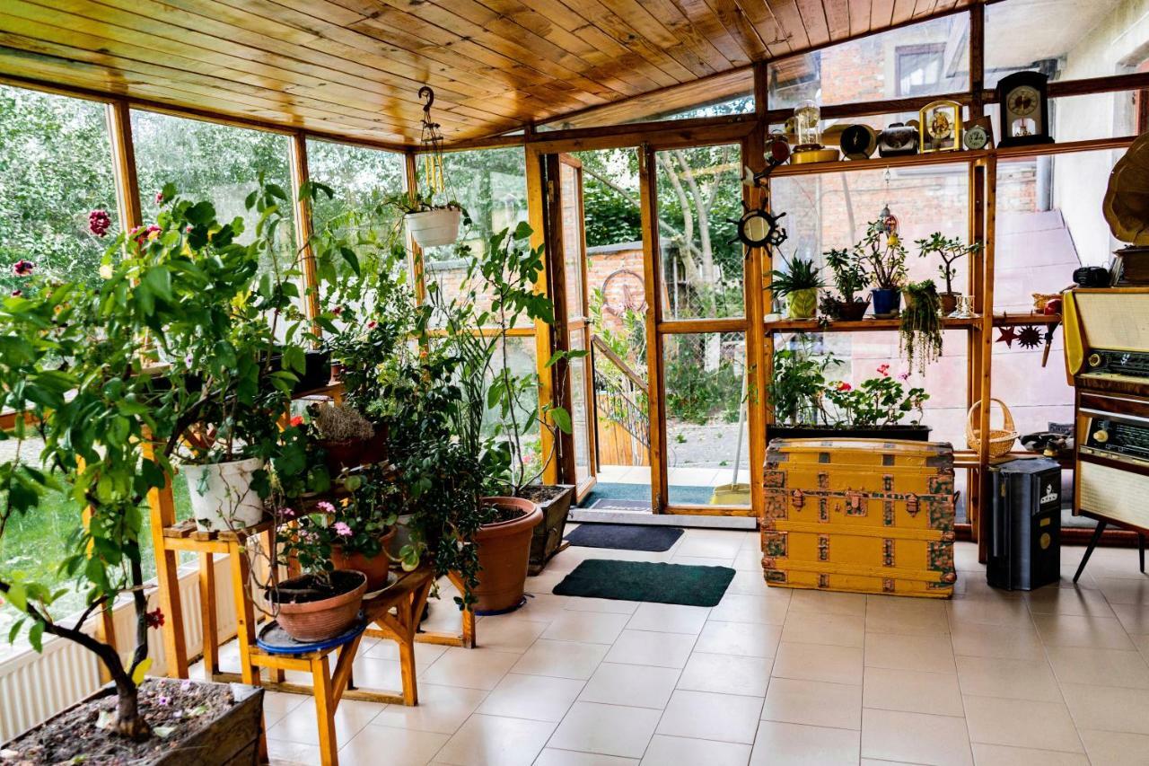 Hostel Villa Roma Lviv Extérieur photo